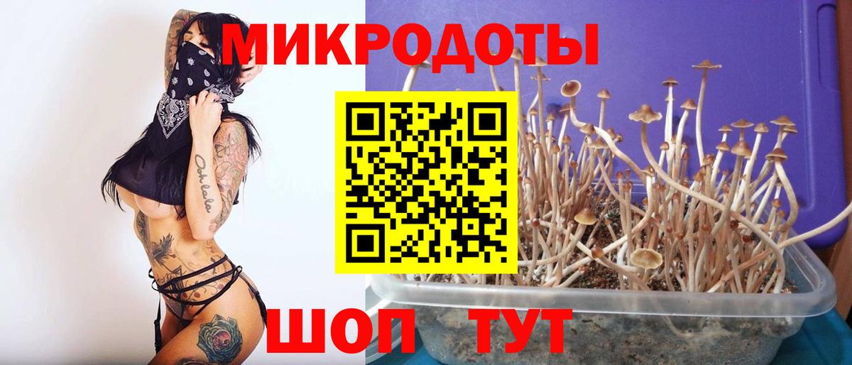Псилоцибиновые грибы прущие грибы Кисловодск