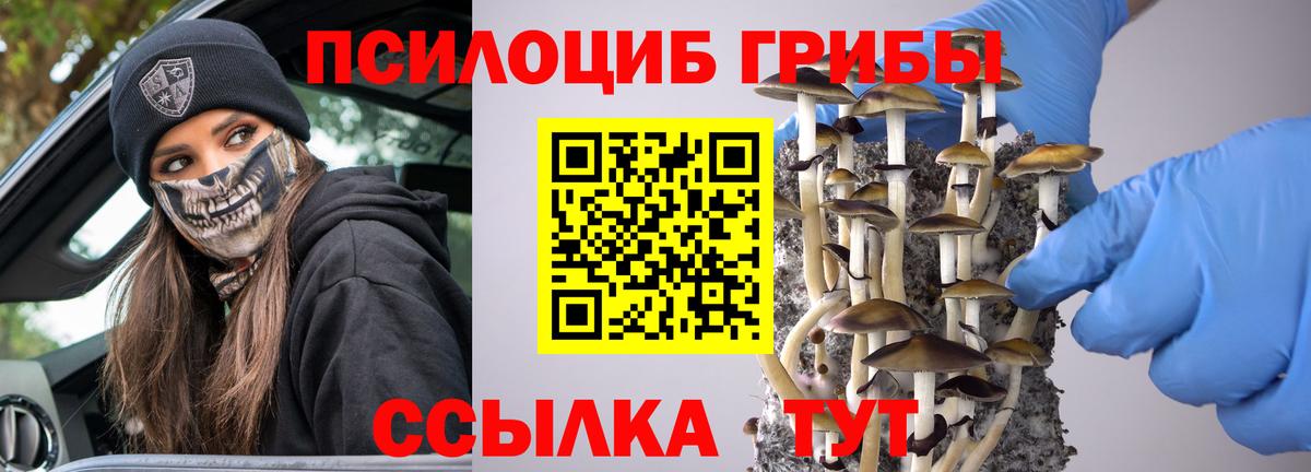 где продают наркотики  Галлюциногенные грибы мицелий  Вход с VPN  Кисловодск  Псилоцибиновые грибы Cubensis 